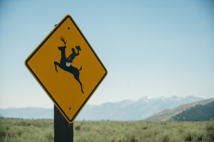 The world of new awaits